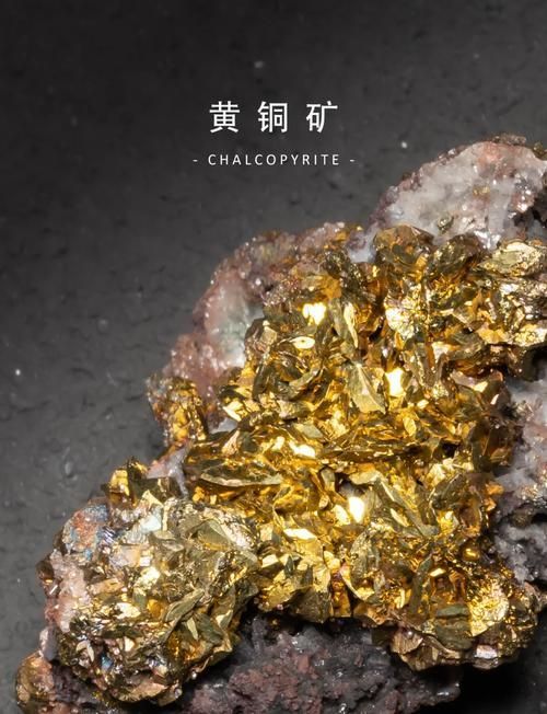 給我一些關于鷹手營子礦龍魚的信息,“鷹手營子礦龍魚(鷹手營子礦龍魚”是真實存在的生物化石 龍魚百科 第12張 給我一些關于鷹手營子礦龍魚的信息,“鷹手營子礦龍魚(鷹手營子礦龍魚”是真實存在的生物化石 給我一些關于鷹手營子礦龍魚的信息,“鷹手營子礦龍魚(鷹手營子礦龍魚”是真實存在的生物化石 龍魚百科 第12張