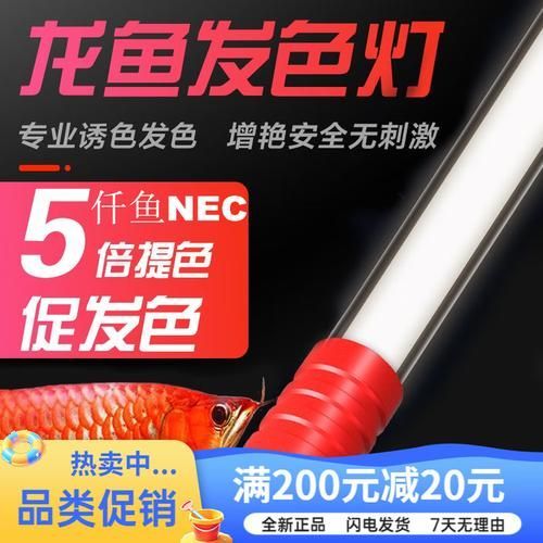 如何正確安裝nec龍魚專用燈？ 如何正確安裝nec龍魚專用燈？ 龍魚百科 第4張