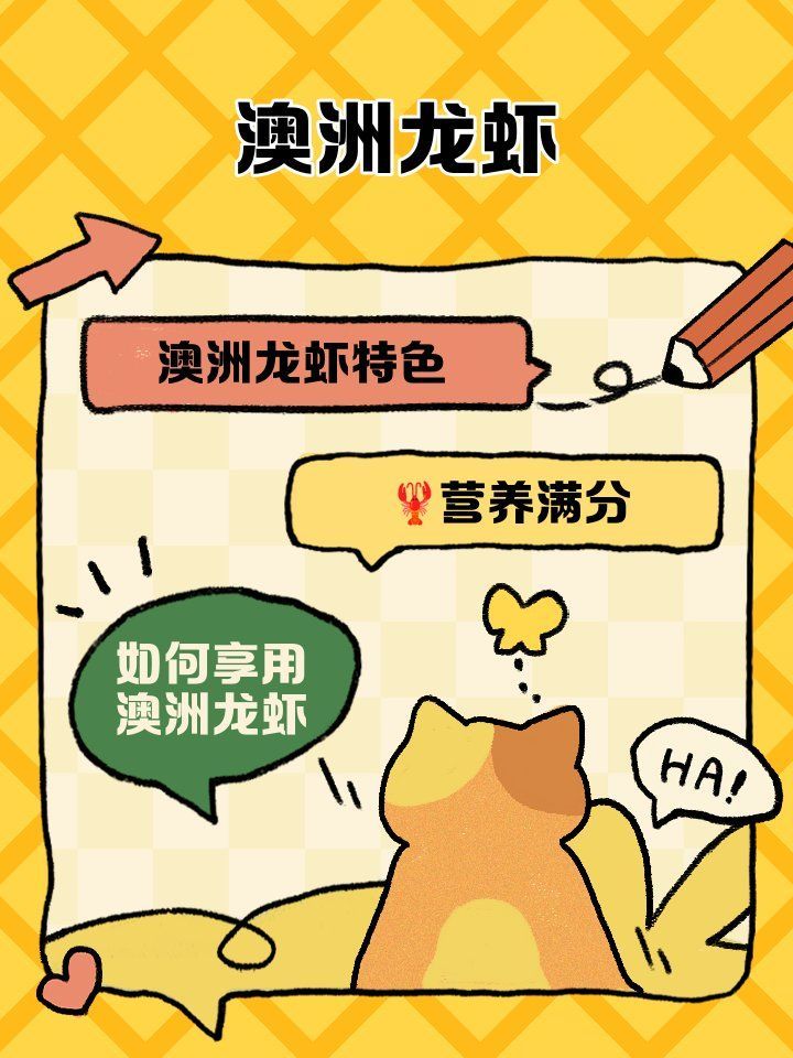 紅龍與澳龍的營養(yǎng)價值，澳洲龍蝦南橙挑水果，如何區(qū)分澳龍和紅龍哪個更受歡迎