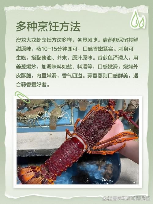 紅龍與澳龍的營養(yǎng)價值，澳洲龍蝦南橙挑水果，如何區(qū)分澳龍和紅龍哪個更受歡迎