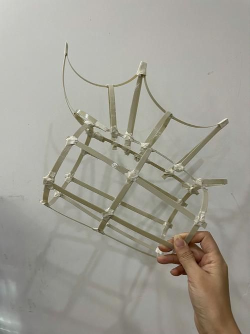 東城龍魚燈如何制作？，東城龍魚燈制作過程 東城龍魚燈如何制作？，東城龍魚燈制作過程 龍魚百科 第2張