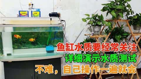如何預防魚身紅斑，如何科學預防魚身紅斑 如何預防魚身紅斑，如何科學預防魚身紅斑 龍魚百科 第9張