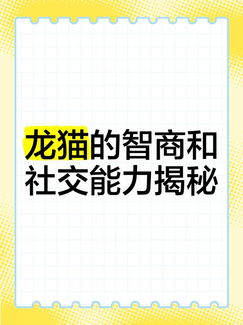 龍貓多久會忘記主人，龍貓多久會忘記主人，龍貓的智商和社交能力揭秘嗎 龍貓多久會忘記主人，龍貓多久會忘記主人，龍貓的智商和社交能力揭秘嗎 龍魚百科 第1張