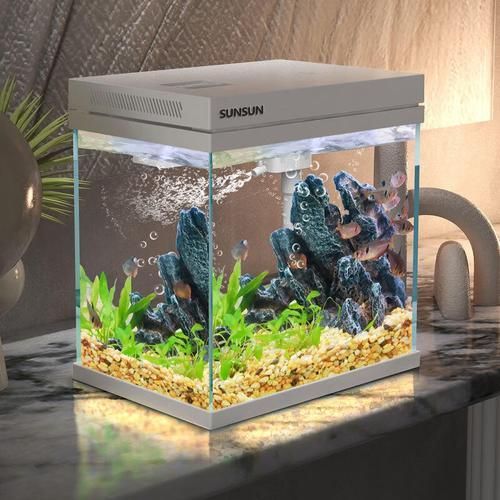 有哪些品牌的紅龍魚設備推薦，紅龍魚設備品牌推薦思考完成，紅龍魚設備推薦思考完成 有哪些品牌的紅龍魚設備推薦，紅龍魚設備品牌推薦思考完成，紅龍魚設備推薦思考完成 龍魚百科 第3張