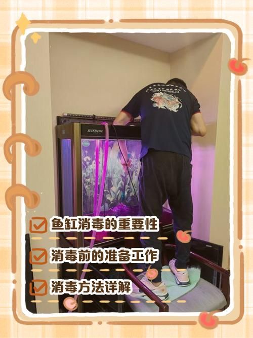 如何預防合缸交叉感染，合缸交叉感染的基本信息 如何預防合缸交叉感染，合缸交叉感染的基本信息 龍魚百科 第10張