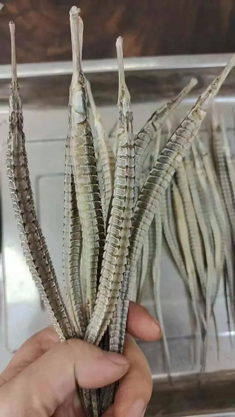 如何挑選高質(zhì)量的海龍魚干？，如何挑選高質(zhì)量海龍魚干？ 如何挑選高質(zhì)量的海龍魚干？，如何挑選高質(zhì)量海龍魚干？ 龍魚百科 第6張