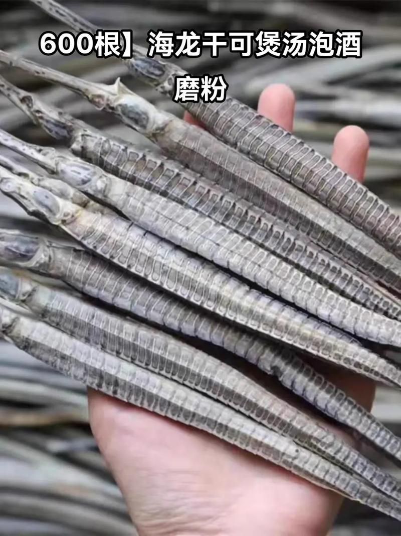 如何挑選高質(zhì)量的海龍魚干？，如何挑選高質(zhì)量海龍魚干？ 如何挑選高質(zhì)量的海龍魚干？，如何挑選高質(zhì)量海龍魚干？ 龍魚百科 第3張