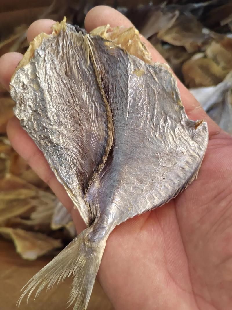 如何挑選高質(zhì)量的海龍魚干？，如何挑選高質(zhì)量海龍魚干？ 如何挑選高質(zhì)量的海龍魚干？，如何挑選高質(zhì)量海龍魚干？ 龍魚百科 第5張