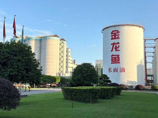 如何前往金龍魚廠址參觀，西安金龍魚（益海嘉里）營養健康體驗館 如何前往金龍魚廠址參觀，西安金龍魚（益海嘉里）營養健康體驗館 龍魚百科 第3張