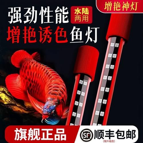 推薦一些紅龍發(fā)色DIY工具，紅龍發(fā)色diy工具 推薦一些紅龍發(fā)色DIY工具，紅龍發(fā)色diy工具 龍魚百科 第2張