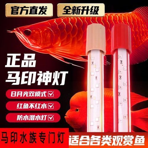 推薦一些紅龍發(fā)色DIY工具，紅龍發(fā)色diy工具 推薦一些紅龍發(fā)色DIY工具，紅龍發(fā)色diy工具 龍魚百科 第4張
