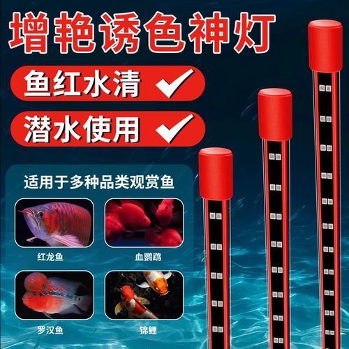 推薦一些紅龍發(fā)色DIY工具，紅龍發(fā)色diy工具 推薦一些紅龍發(fā)色DIY工具，紅龍發(fā)色diy工具 龍魚百科 第14張