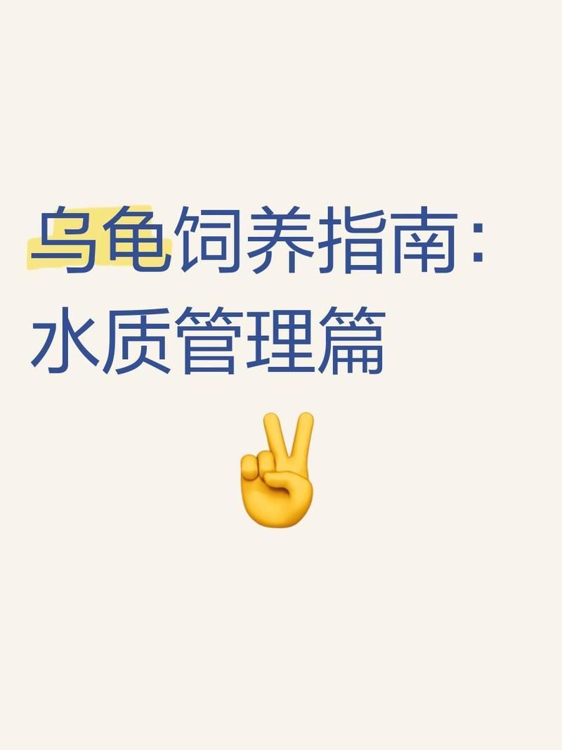 龍龜多久換一次水，龍龜換水頻率取決于多種因素，