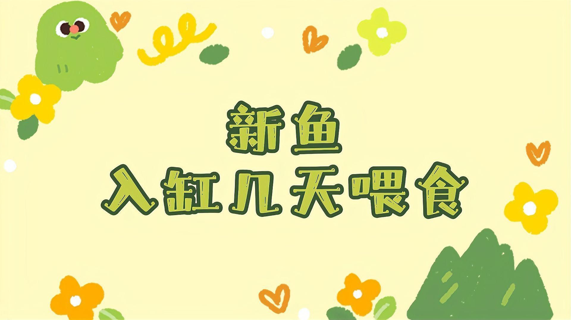 換缸后多久喂食合適，新魚入缸后多久喂食合適， 換缸后多久喂食合適，新魚入缸后多久喂食合適， 龍魚百科 第2張