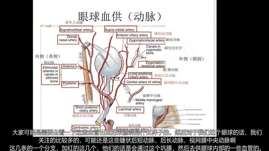 如何預防魚尾充血，西安魚尾充血（眼周血管充血（arxiv論文助手）