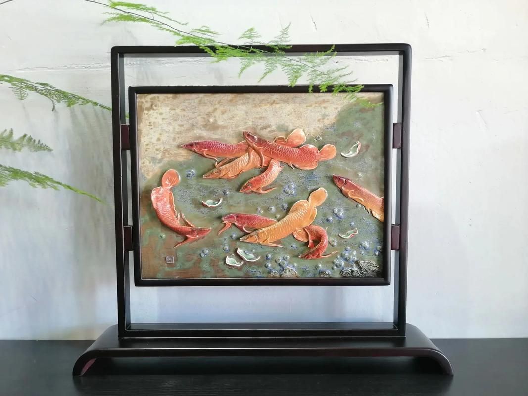 能提供更多九龍魚的圖片嗎？ 能提供更多九龍魚的圖片嗎？ 龍魚百科 第15張