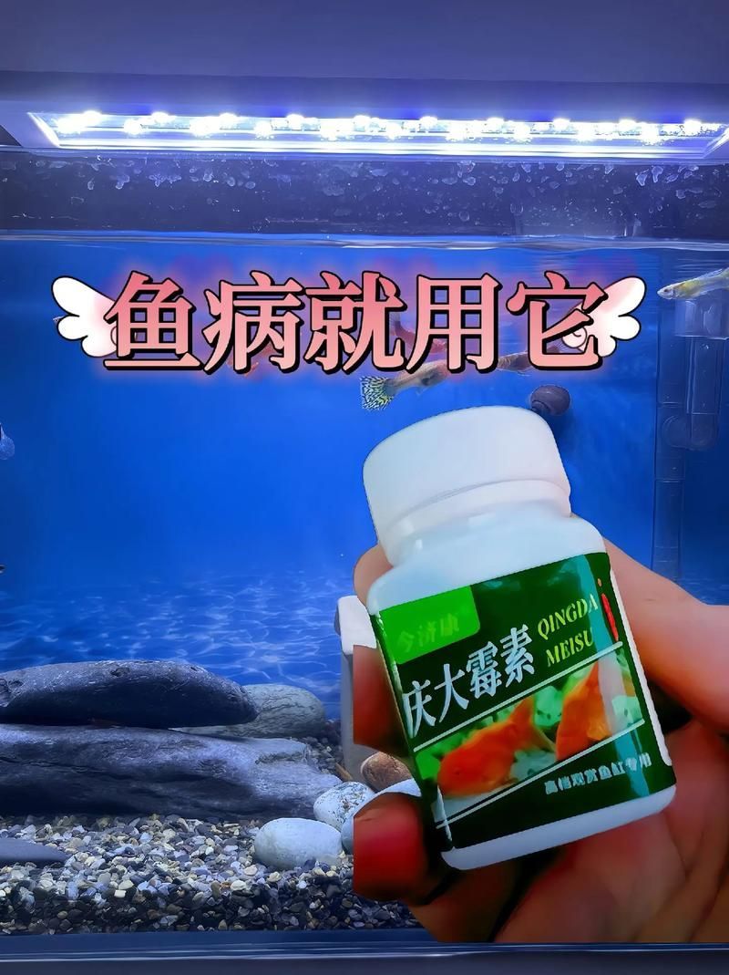 哪些藥物對(duì)龍魚副作用較小，關(guān)于龍魚用藥安全問題 哪些藥物對(duì)龍魚副作用較小，關(guān)于龍魚用藥安全問題 龍魚百科 第3張