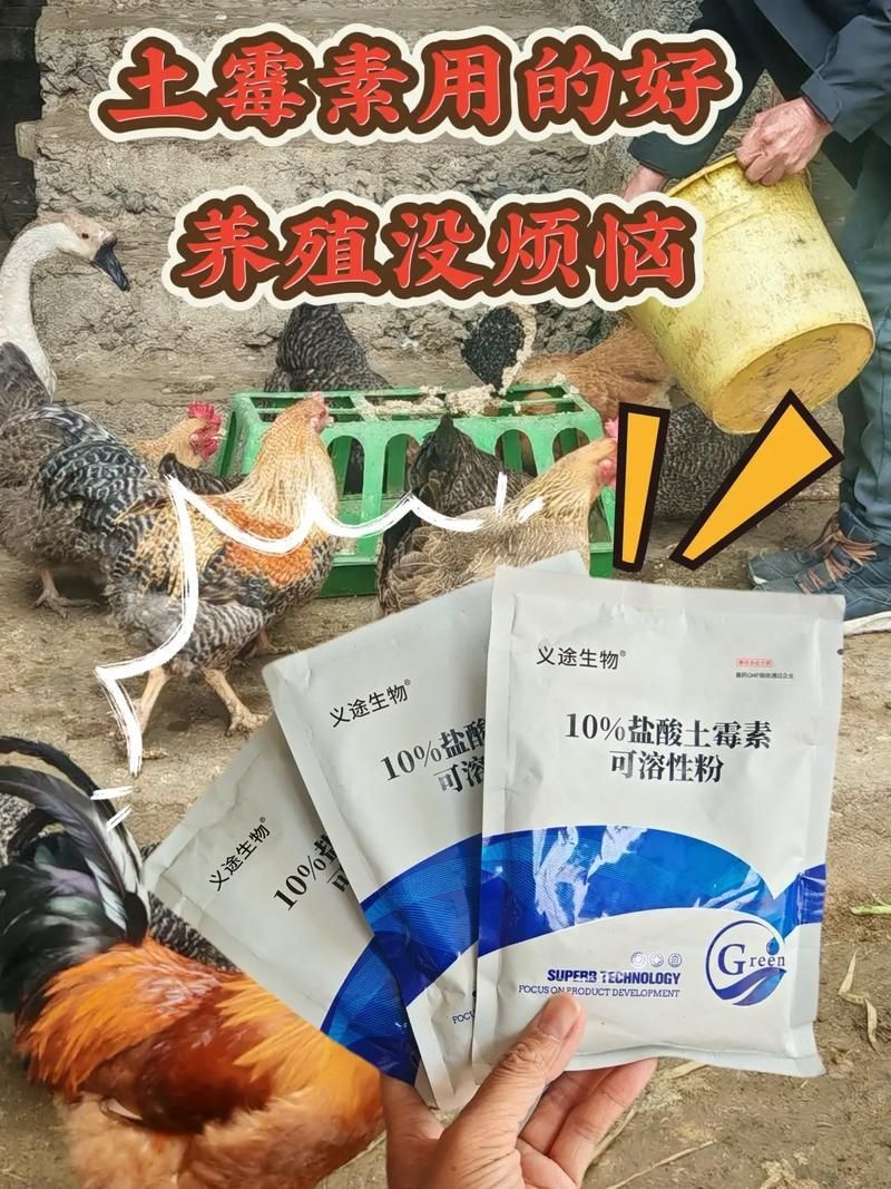 哪些藥物對(duì)龍魚副作用較小，關(guān)于龍魚用藥安全問題 哪些藥物對(duì)龍魚副作用較小，關(guān)于龍魚用藥安全問題 龍魚百科 第10張