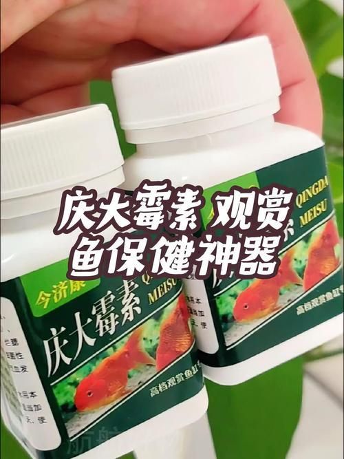 哪些藥物對(duì)龍魚副作用較小，關(guān)于龍魚用藥安全問題 哪些藥物對(duì)龍魚副作用較小，關(guān)于龍魚用藥安全問題 龍魚百科 第5張