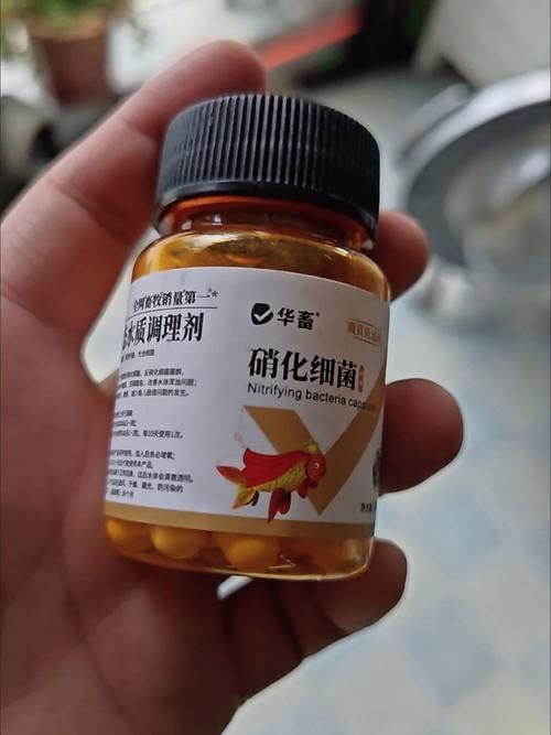 哪些藥物對(duì)龍魚副作用較小，關(guān)于龍魚用藥安全問題 哪些藥物對(duì)龍魚副作用較小，關(guān)于龍魚用藥安全問題 龍魚百科 第11張