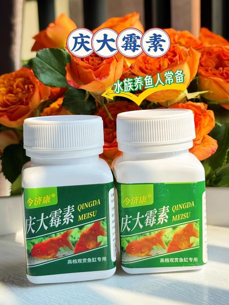 哪些藥物對(duì)龍魚副作用較小，關(guān)于龍魚用藥安全問題 哪些藥物對(duì)龍魚副作用較小，關(guān)于龍魚用藥安全問題 龍魚百科 第6張