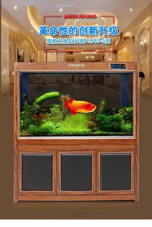 祥龍魚場的魚缸價格范圍，成都祥龍魚場魚缸價格集中在5000元左右適合兒童食用 祥龍魚場的魚缸價格范圍，成都祥龍魚場魚缸價格集中在5000元左右適合兒童食用 龍魚百科 第5張