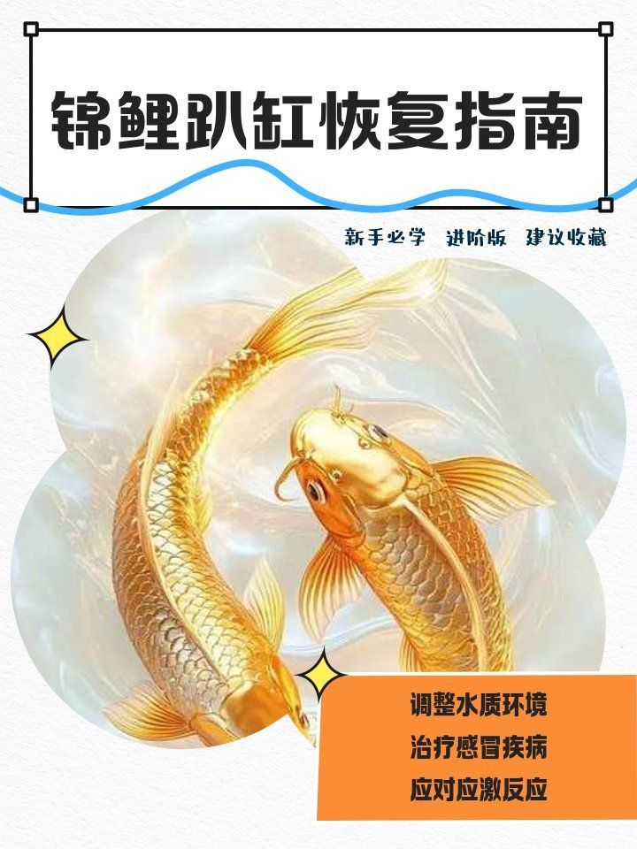 錦鯉趴缸多久會(huì)死，錦鯉趴缸多久會(huì)死, 錦鯉趴缸多久會(huì)死，錦鯉趴缸多久會(huì)死, 龍魚百科 第1張