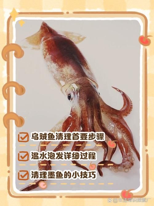 給我一些安全處理魚的圖片示例