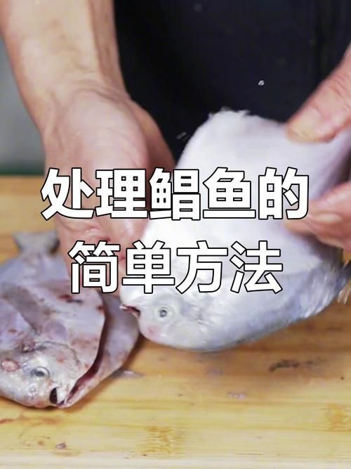 給我一些安全處理魚的圖片示例