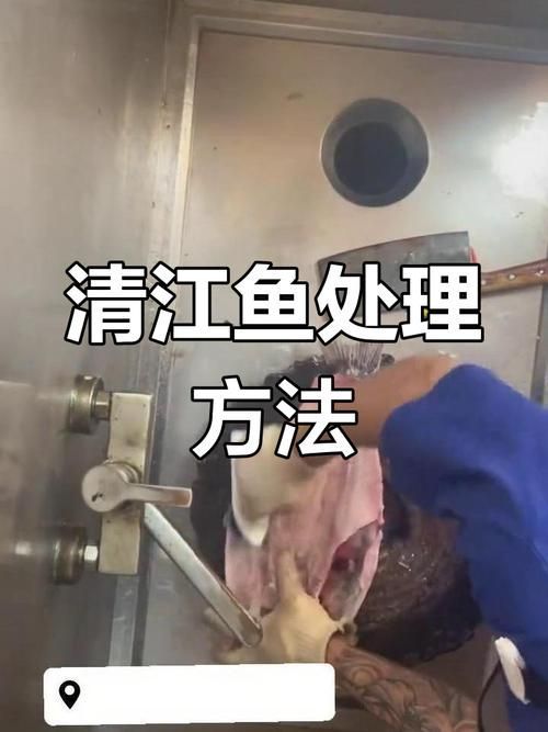 給我一些安全處理魚的圖片示例