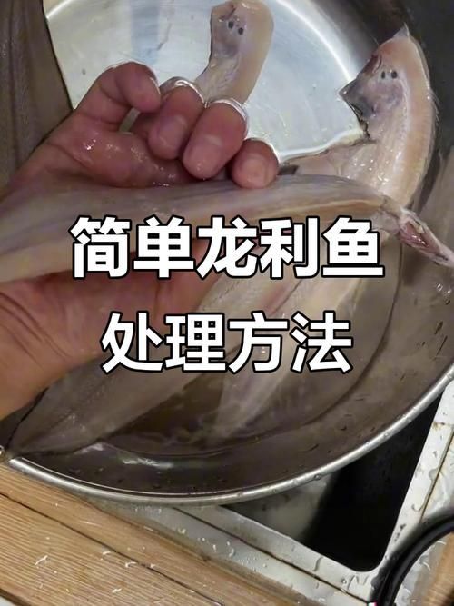 給我一些安全處理魚的圖片示例