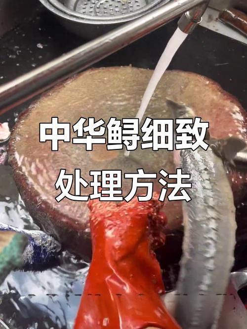 給我一些安全處理魚的圖片示例