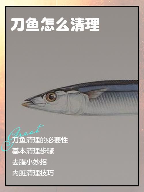 給我一些安全處理魚的圖片示例