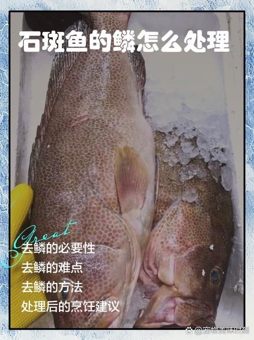 給我一些安全處理魚的圖片示例