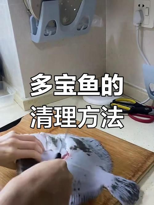給我一些安全處理魚的圖片示例