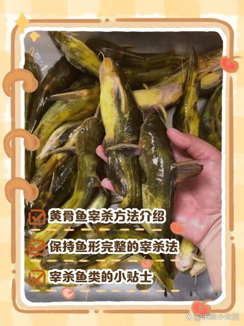 給我一些安全處理魚的圖片示例