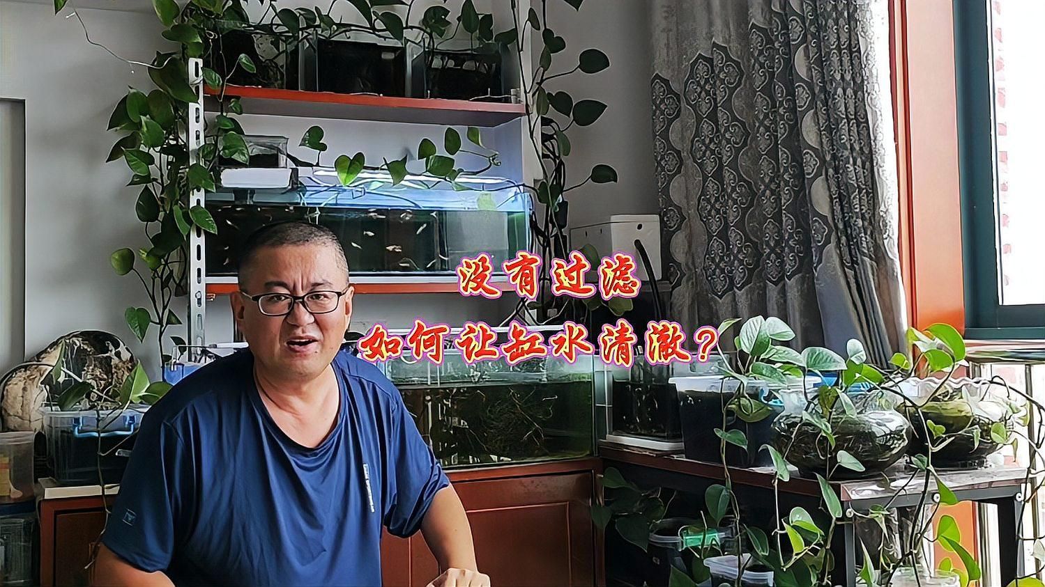 裸缸養魚有哪些注意事項，裸缸養魚有哪些注意事項, 裸缸養魚有哪些注意事項，裸缸養魚有哪些注意事項, 龍魚百科 第2張