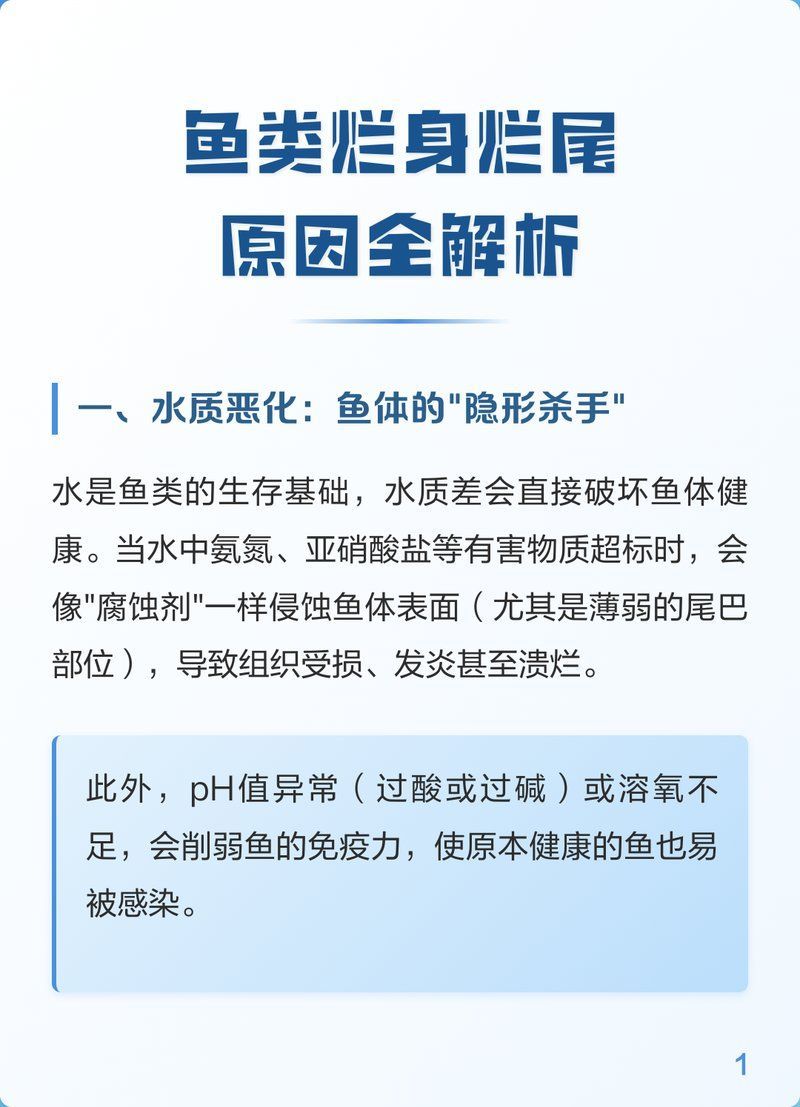 如何預防魚爛身爛尾，如何預防魚爛身爛尾,魚爛身爛尾的根本原因不是“魚生病了” 如何預防魚爛身爛尾，如何預防魚爛身爛尾,魚爛身爛尾的根本原因不是“魚生病了” 龍魚百科 第2張