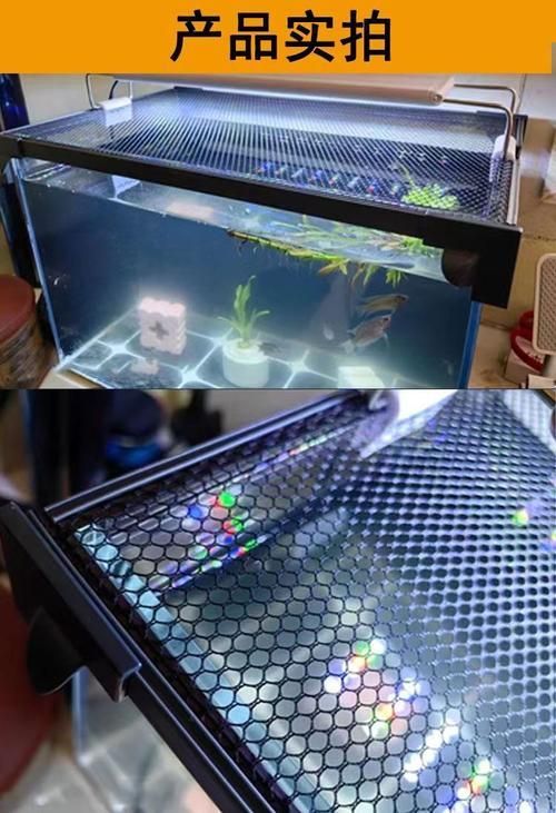 有哪些品牌的龍魚缸蓋推薦?,哪個品牌的龍魚缸蓋性價比最高? 龍魚百科 第13張 有哪些品牌的龍魚缸蓋推薦?,哪個品牌的龍魚缸蓋性價比最高? 有哪些品牌的龍魚缸蓋推薦?,哪個品牌的龍魚缸蓋性價比最高? 龍魚百科 第13張