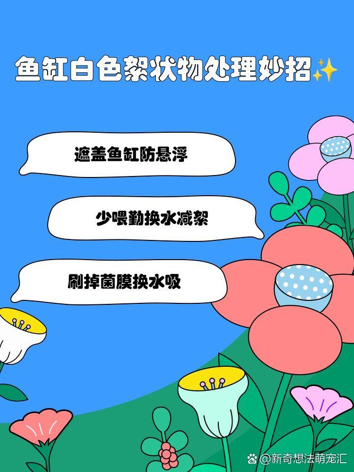 龍魚吐白色絮狀物需要立即換水嗎？，龍魚吐白色絮狀物需要立即換水嗎龍魚吐白色絮狀物處理妙招 龍魚吐白色絮狀物需要立即換水嗎？，龍魚吐白色絮狀物需要立即換水嗎龍魚吐白色絮狀物處理妙招 龍魚百科 第1張