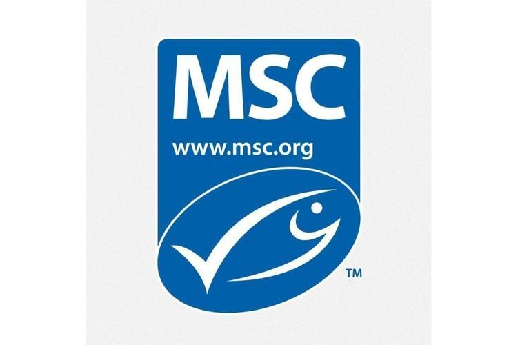 如何判斷一個魚品牌是否可靠，如何判斷一個魚品牌可靠性判斷一個魚品牌是否可靠