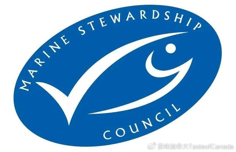 如何判斷一個魚品牌是否可靠，如何判斷一個魚品牌可靠性判斷一個魚品牌是否可靠