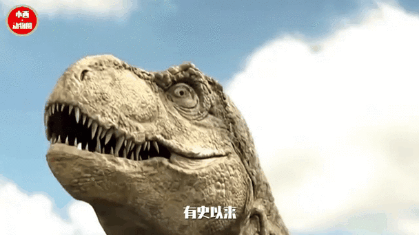 霸王龍短片有哪些搞笑場景，霸王龍短片以其獨特的幽默感和生動的幽默感和生動的搞笑場景