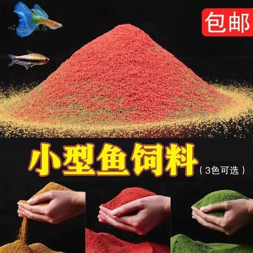 有哪些食物有助于魚爛尾恢復，arxiv論文助于魚爛尾恢復的關鍵輔助手段 有哪些食物有助于魚爛尾恢復，arxiv論文助于魚爛尾恢復的關鍵輔助手段 龍魚百科 第5張
