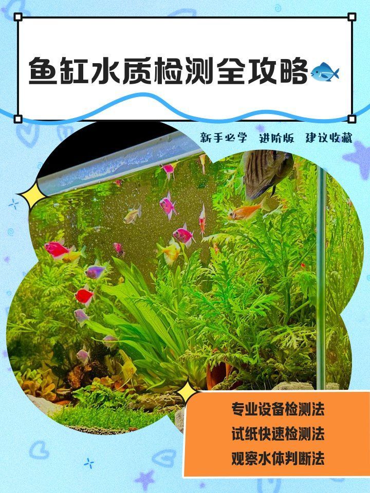 如何判斷龍魚是否因水質問題側游？，如何判斷龍魚是否因水質問題導致側游