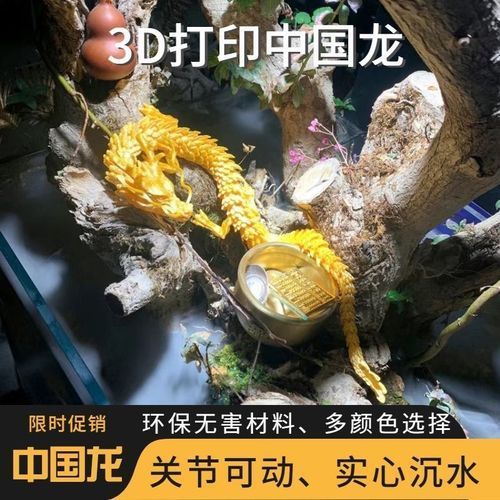 過背金龍魚缸裝飾品推薦，過背金龍魚缸裝飾