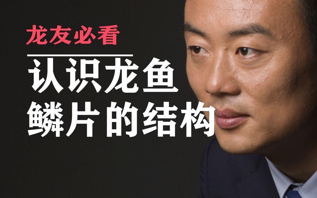 如何辨別真假泉州龍魚？，如何辨別泉州龍魚