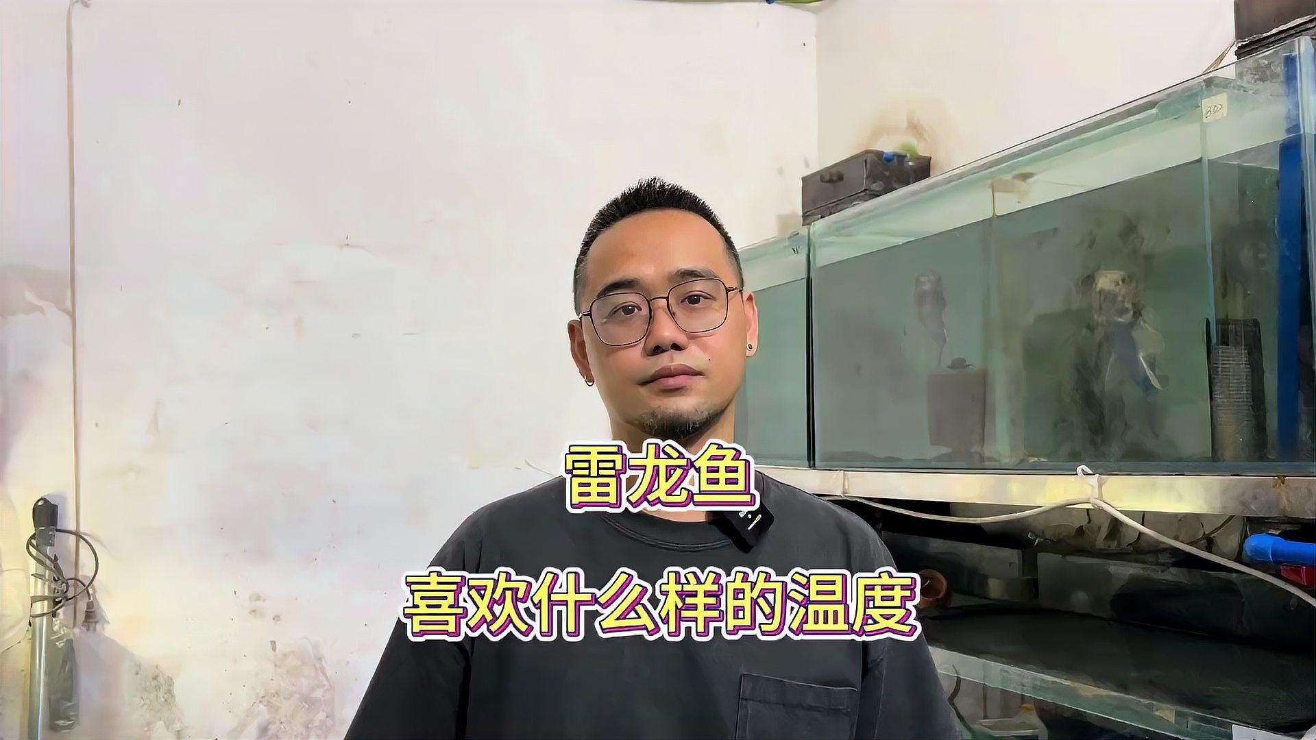 哪些龍魚品種適合在26度水溫下養(yǎng)殖？，東莞鑫晟達(dá)水族龍魚冬季水溫26度可以嗎
