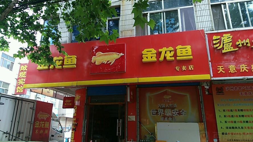 如何查詢其他地區的金龍魚專賣店？，如何查詢金龍魚專賣店 如何查詢其他地區的金龍魚專賣店？，如何查詢金龍魚專賣店 龍魚百科 第1張