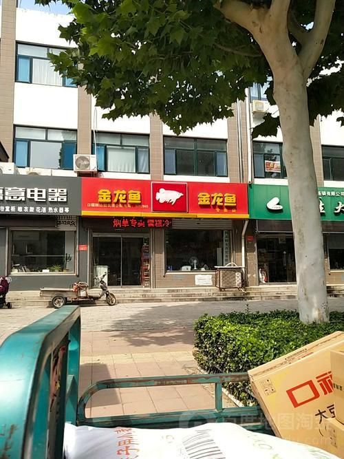 如何查詢其他地區的金龍魚專賣店？，如何查詢金龍魚專賣店 如何查詢其他地區的金龍魚專賣店？，如何查詢金龍魚專賣店 龍魚百科 第5張